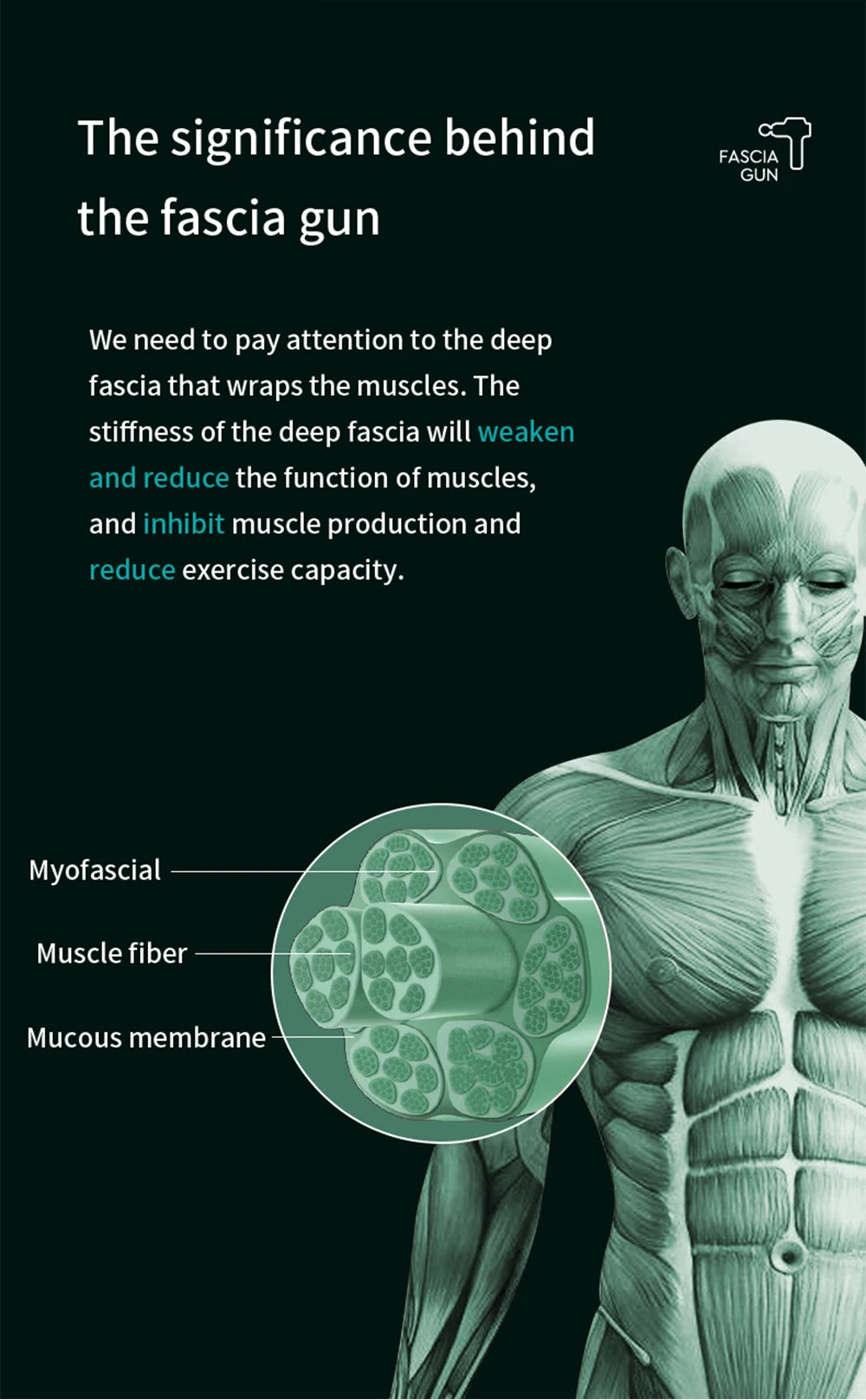 Cosmé Zen – Pistolet Massage Musculaire Professionnel | 99 Vitesses, Recharge USB-C